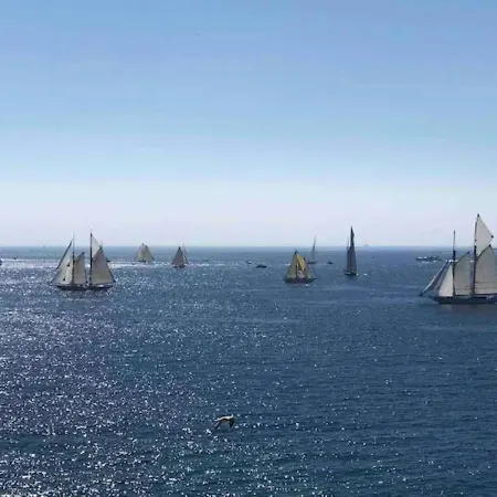 La Palme D'azur - Cannes
