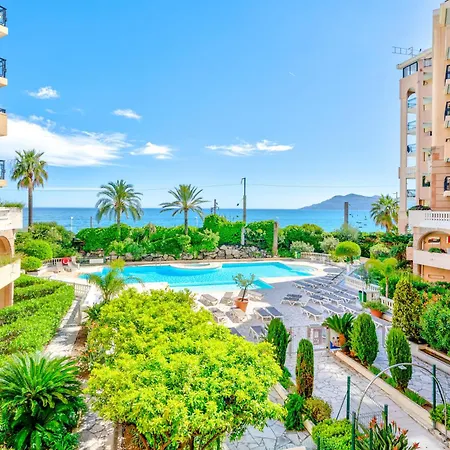 La Palme D'azur - Cannes
