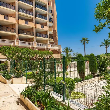 La Palme D'azur - Cannes